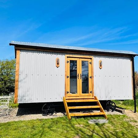 The Hut@Trefechan Wen - Coastal Coziness! Goodwick Esterno foto
