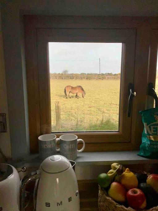 The Hut@Trefechan Wen - Coastal Coziness! Goodwick Esterno foto